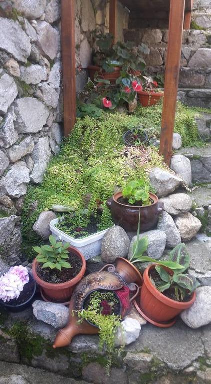 Guest House Todorini Kashti Koprivshtitsa Εξωτερικό φωτογραφία