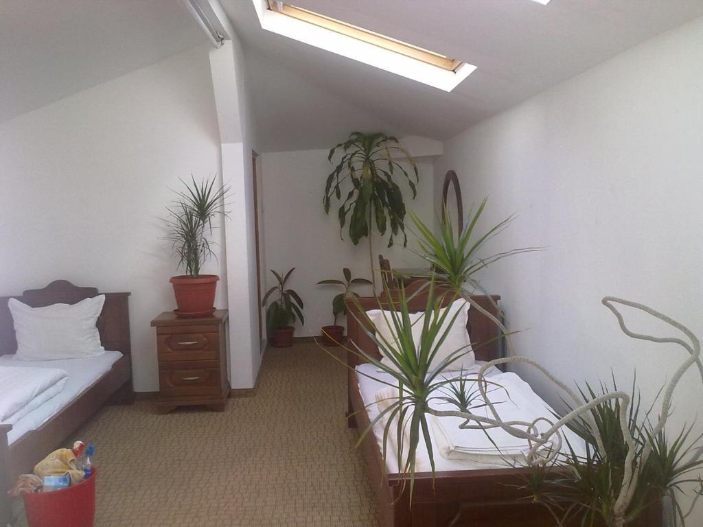 Guest House Todorini Kashti Koprivshtitsa Δωμάτιο φωτογραφία