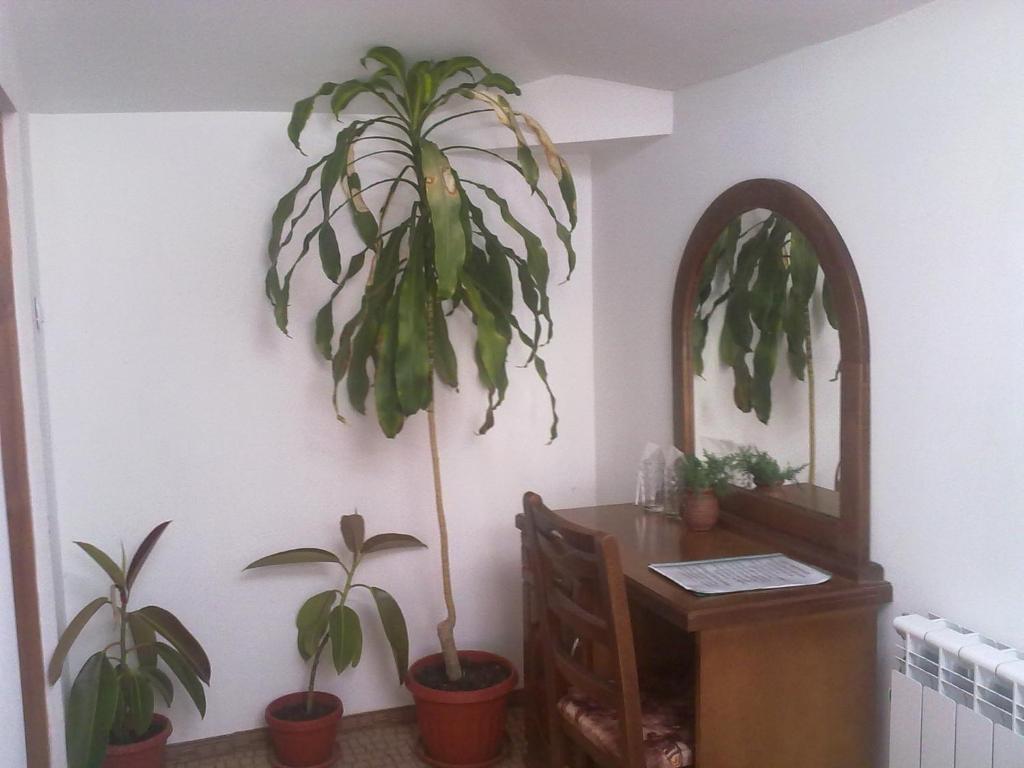 Guest House Todorini Kashti Koprivshtitsa Δωμάτιο φωτογραφία